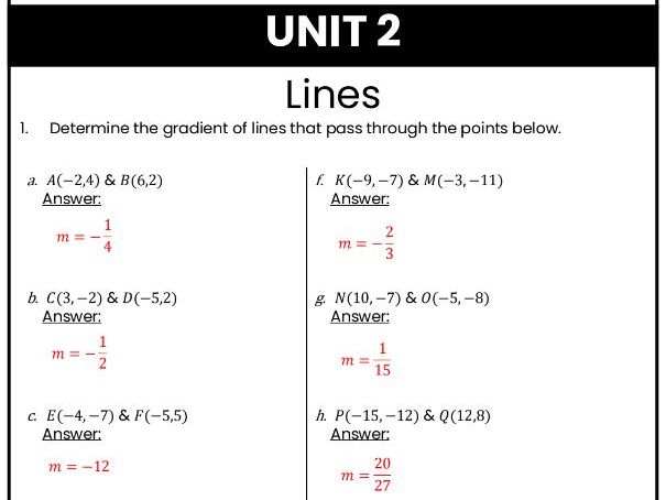 IB Math AI Worksheet 2.1 - Lines