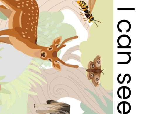 I Can See... CVCC & CCVC Word Posters | EYFS Writing | Securing the Basics