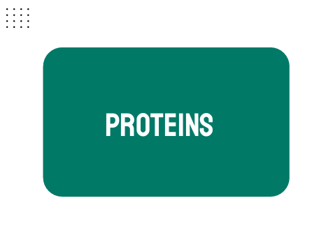 AP Biology Unit 1: Proteins