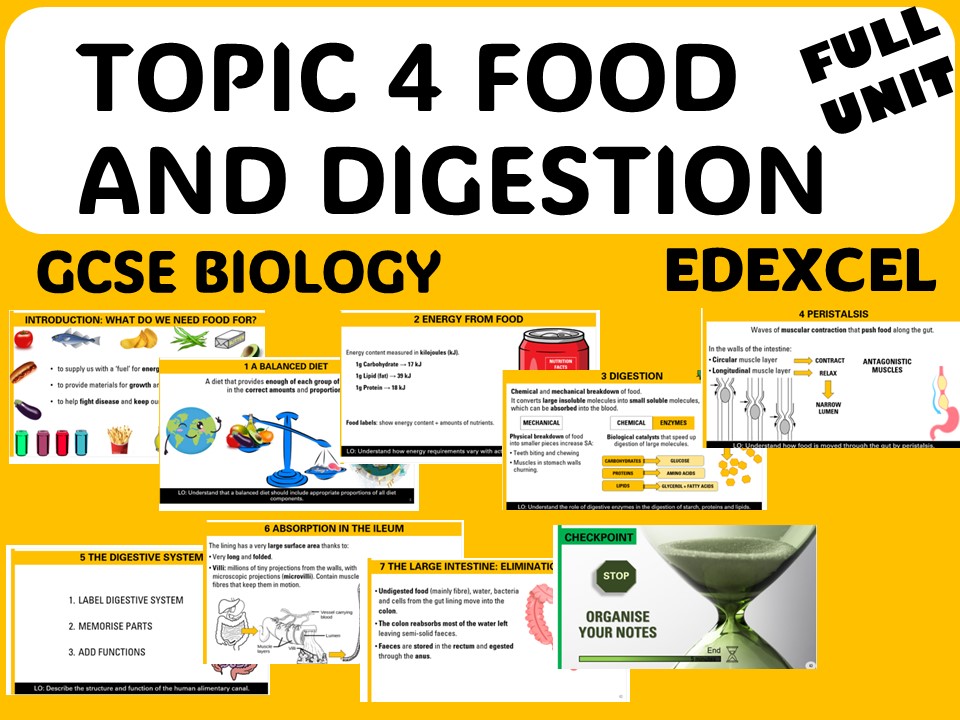Food and digestion - GCSE FULL UNIT