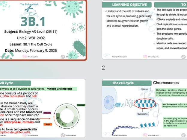3B.1 The Cell Cycle Pearson Edexcel International A-level Biology