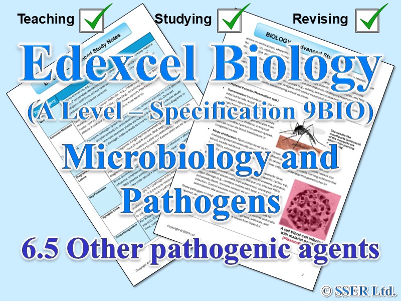 BIOA_EDX Topic Notes: 6.5 Other pathogenic agents