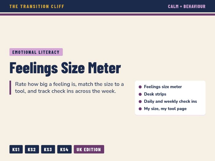 Feelings Size Meter and Check Ins: Rating How Big a Feeling Is for SEND and SEMH (KS1 to KS4)