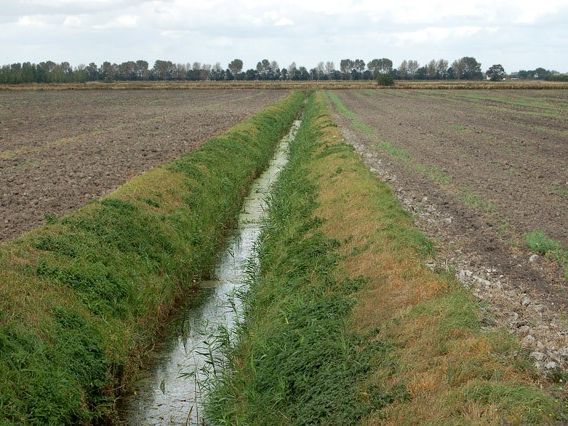 Peat Bogs