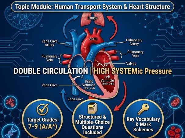 IGCSE Biology Human Transport System & Heart Structure Workbook | Target Grades 7-9