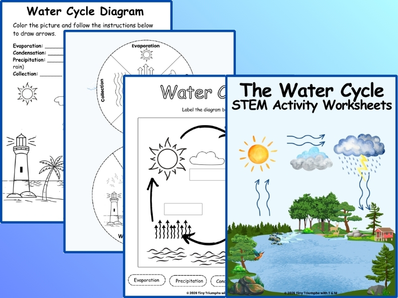 The Water Cycle: STEM Activity Worksheets