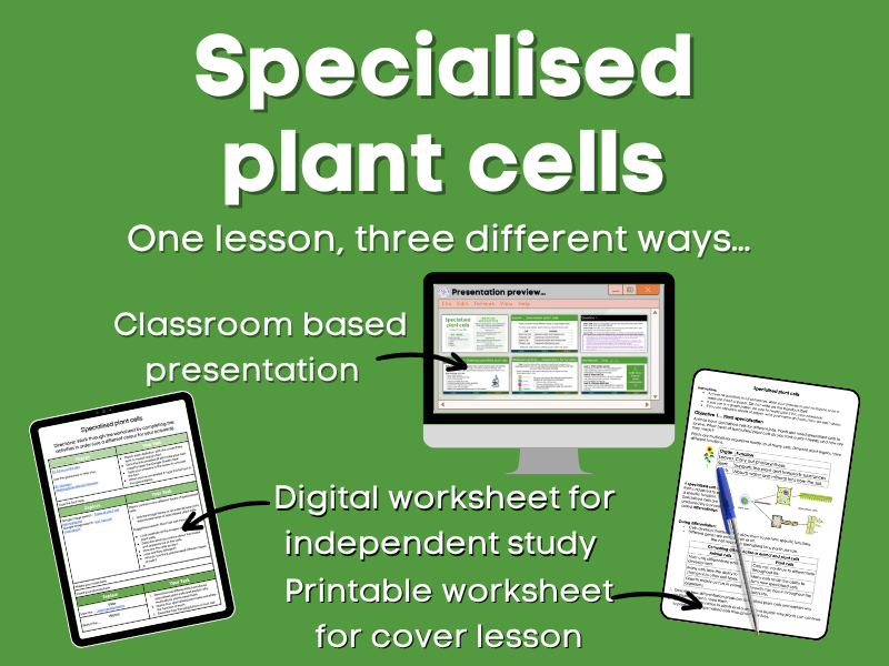 Specialised plant cells Lesson bundle