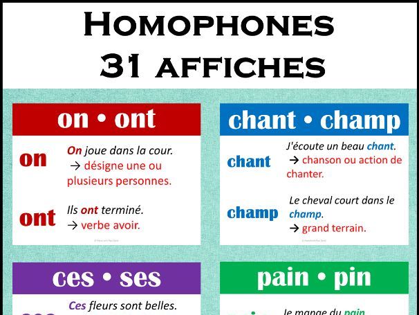 Homophones - 31 affiches / French Homophone Posters