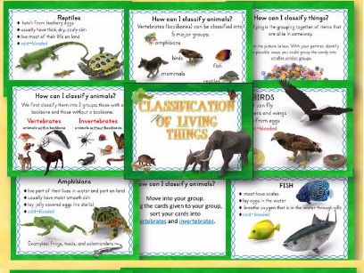 Animal Classification of Living Things PowerPoint and Student Interactive Notebook Bundled Lesson