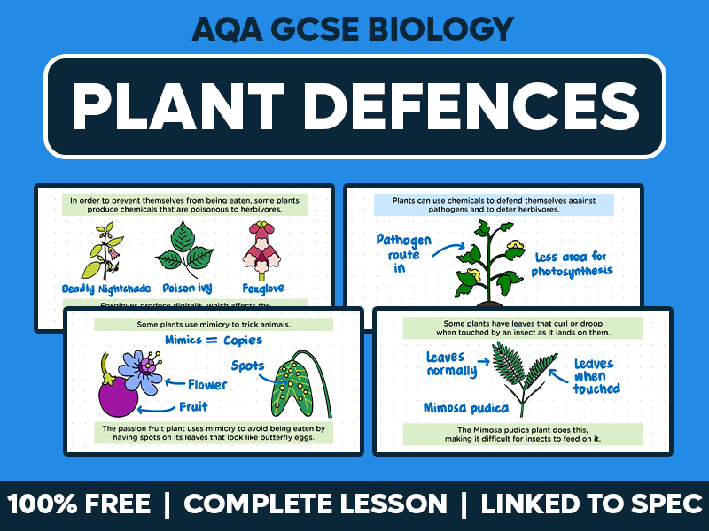 GCSE AQA Biology Complete Lesson - Plant Defences
