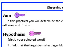 KS3 Observing diffusion and osmosis Write-up
