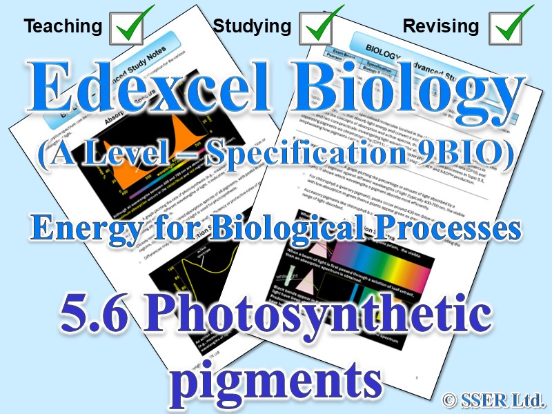 BIOA_EDX Topic Notes: 5.6 Photosynthetic pigments