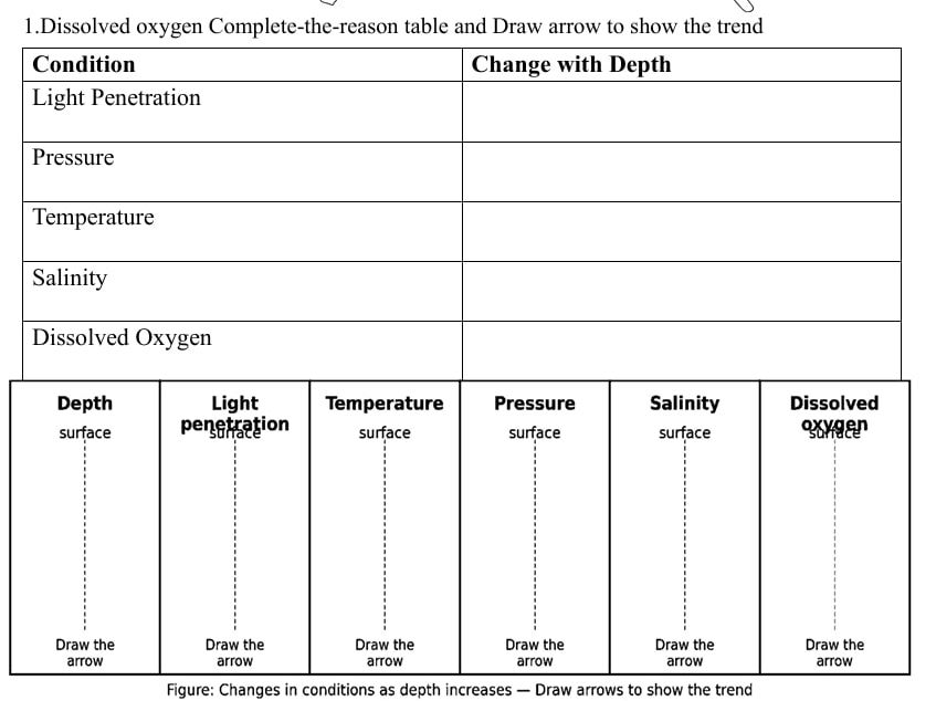 Cambridge IGCSE Marine Science 0697,Chapter 2: Sea Water , Worksheet with answer