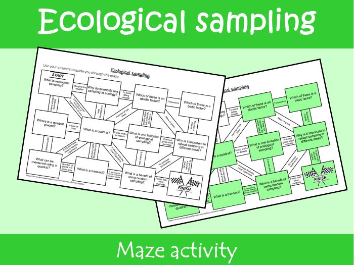Ecological Sampling Maze Worksheet | KS2–KS3 Science Revision Activity