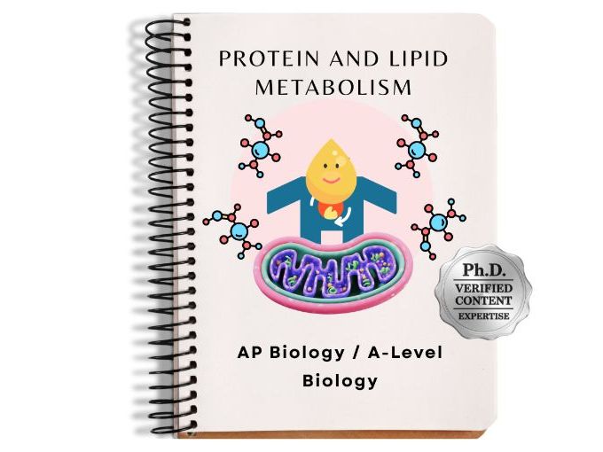 AP Biology / A-Level Biology: Protein & Lipid Metabolism Visual Slide Deck