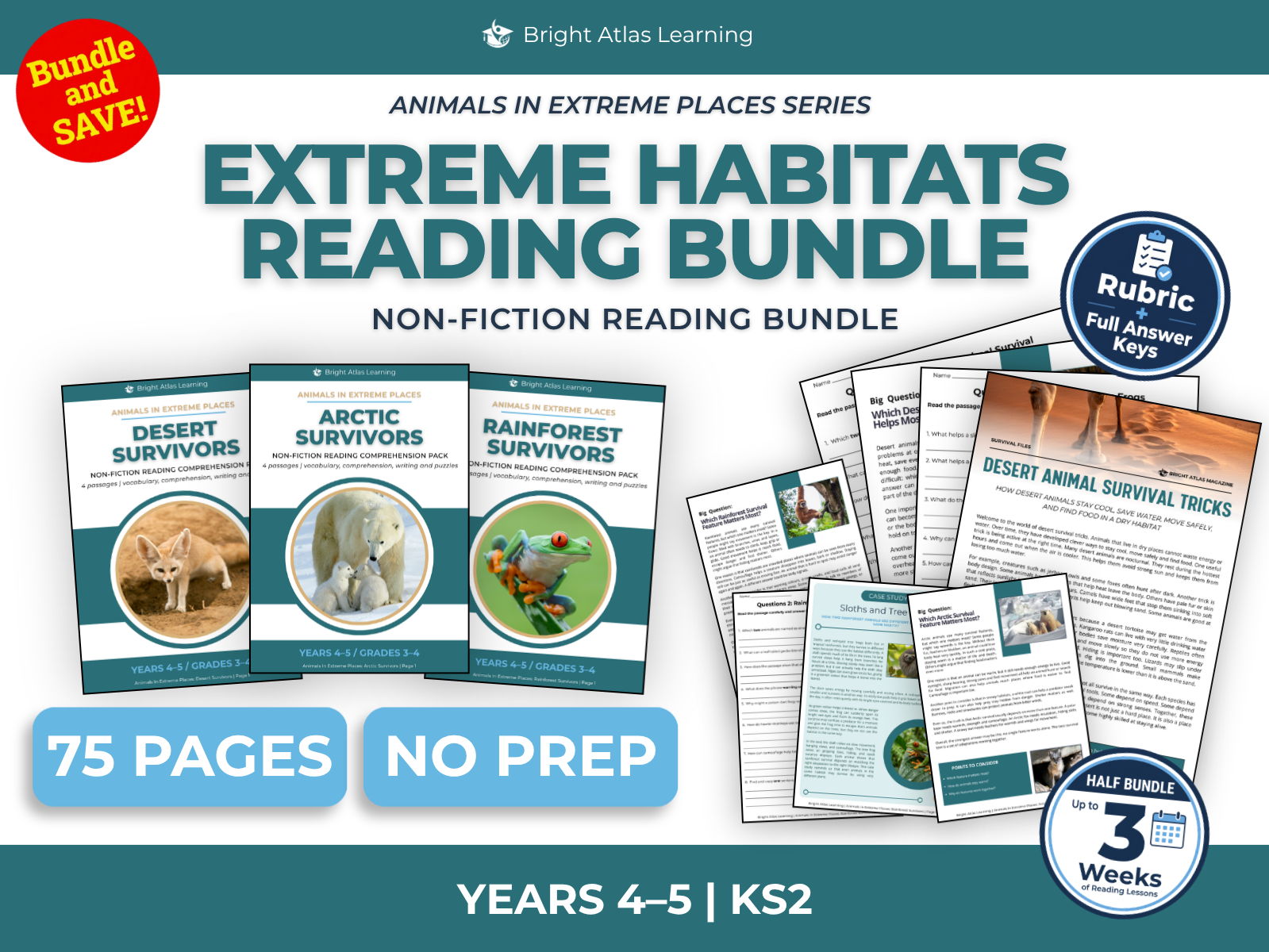 Desert, Arctic and Rainforest Animals Reading Bundle | KS2 Years 4–5