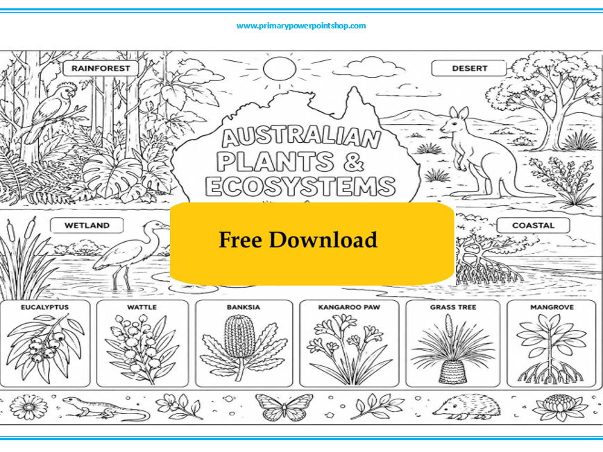 Australian Plants & Ecosystems Colouring Sheet | Australian Habitats Activity