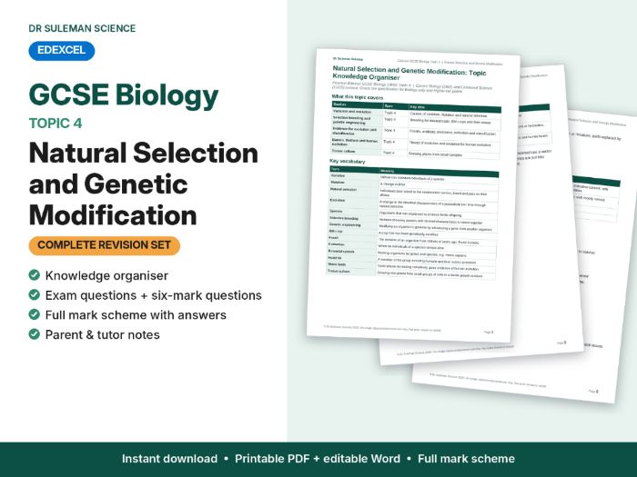 Edexcel GCSE Biology Topic 4 Natural Selection & GM Revision