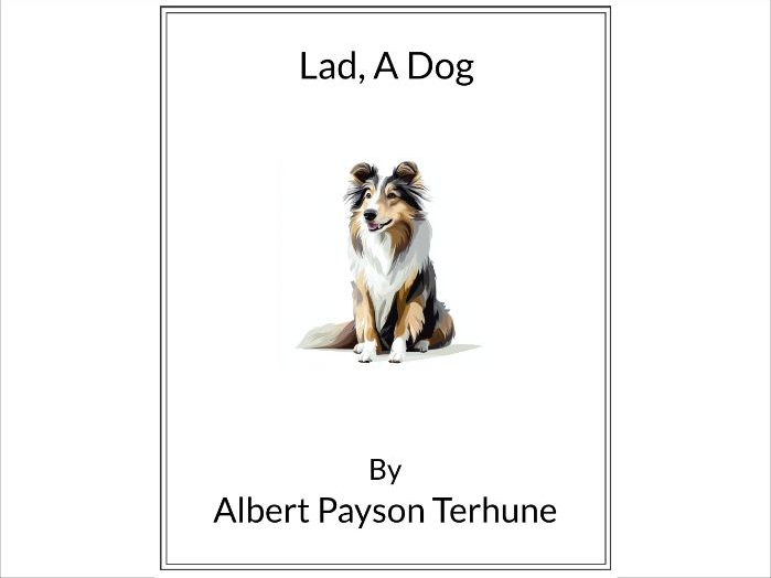 Lad: A Dog by Albert Payson Terhune * (Lesson Plan)