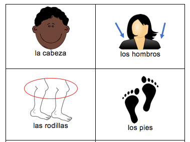 KS2/KS3 Parts of the Body in Spanish - Flashcards by ...