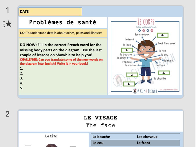 French Health Problems KS3 Teaching Resources