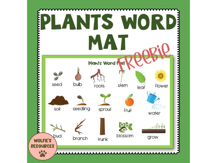 Plant Word Mat Teaching Resources