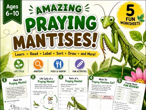 Amazing Praying Mantises|Science Worksheet|Life Cycle,Anatomy ( Ages 6-10)
