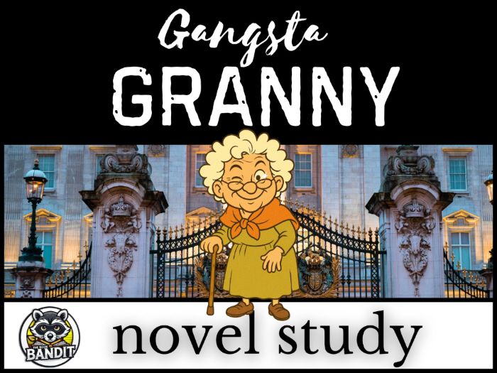 GANGSTA GRANNY NOVEL STUDY based on the book by David Walliams