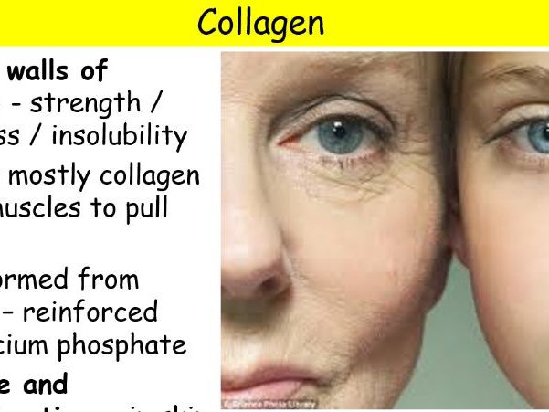Complete A-Level Biology Lesson: Proteins (Part 2) – Globular, Fibrous & Inorganic Ions