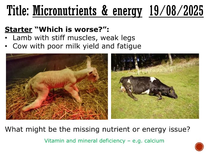 Micronutrients and Energy