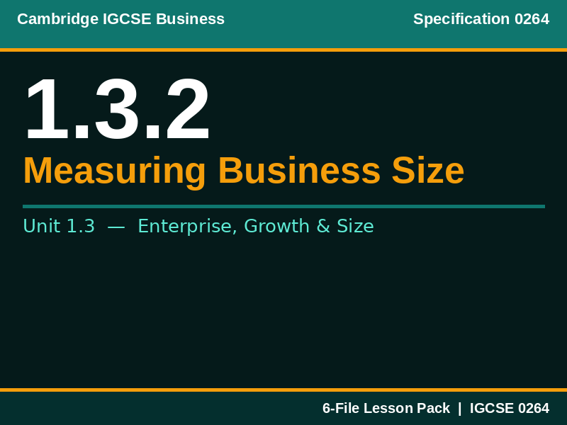 Cambridge IGCSE Business 0264 | 1.3.2 Measuring Business Size | Lesson Pack