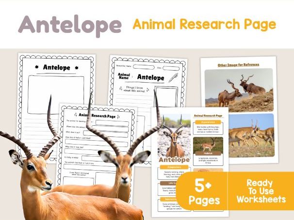 Antelope Animal Research Page | African Wildlife Science Worksheets