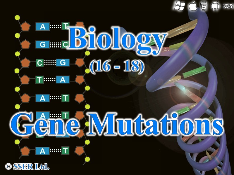 BioA_3.4.3 Gene Mutations