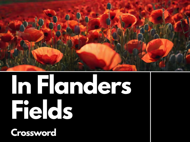 In Flanders Fields Crossword Activity