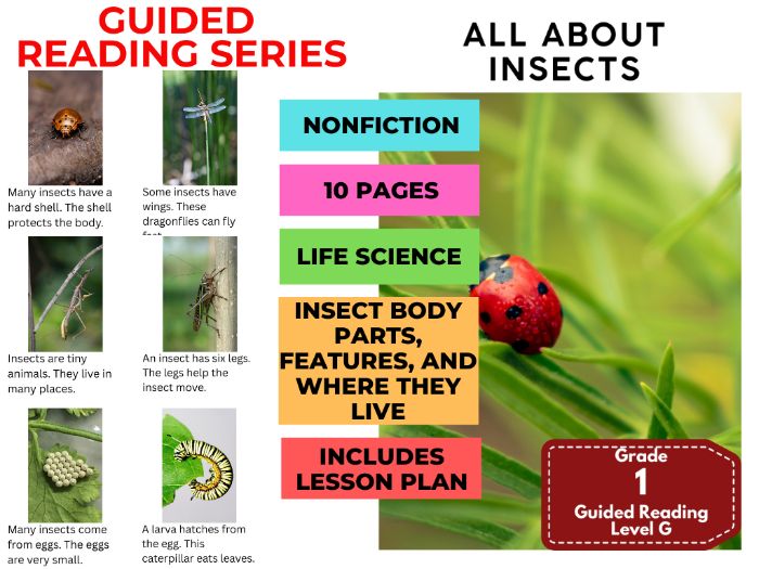 All About Insects: Guided Reading Level G with Lesson Plan