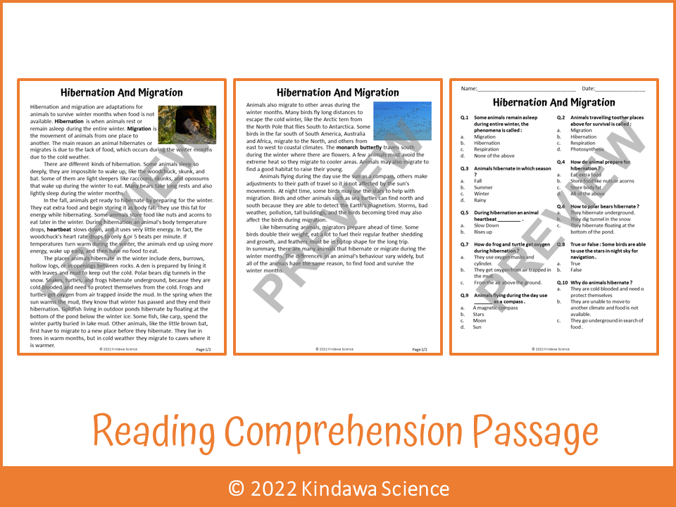 hibernation-and-migration-reading-comprehension-passage-and-questions