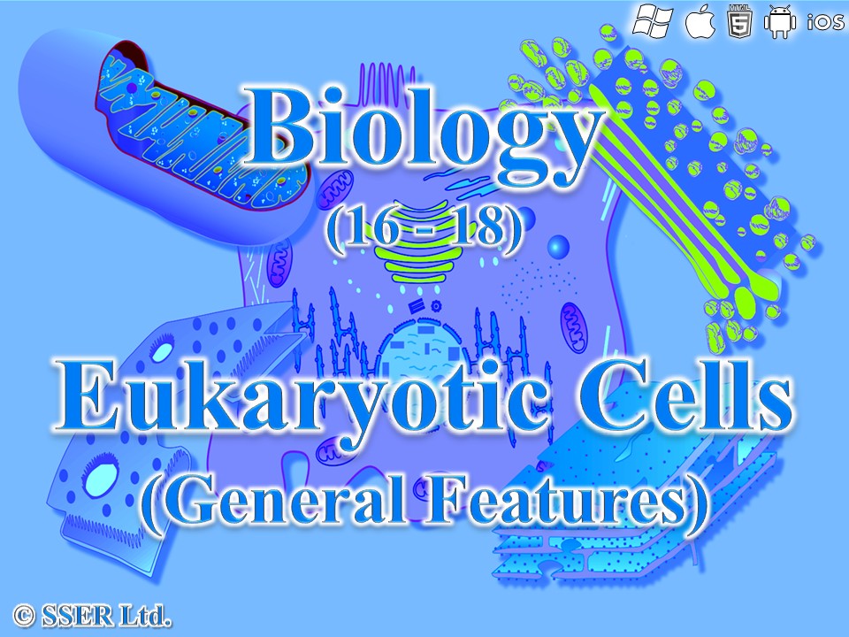 BioA_3.2.1.1 Eukaryotic Cells 1 - General Features