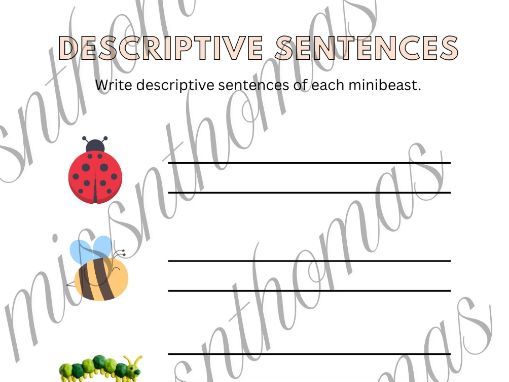 Minibeast descriptive sentences - cartoon pics