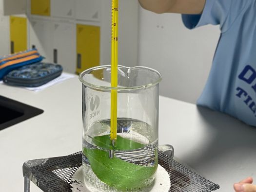 Photosynthesis worksheet