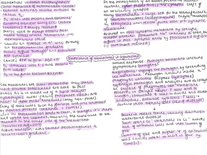 A level biology topics image