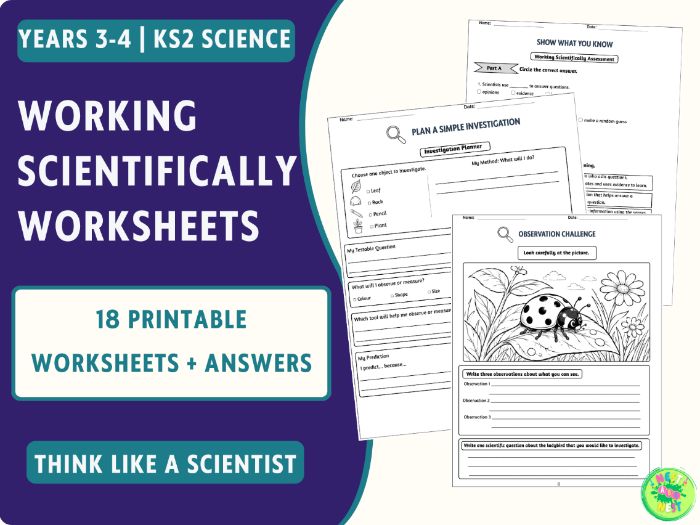 Working Scientifically Worksheets  Years 3–4 KS2 Science