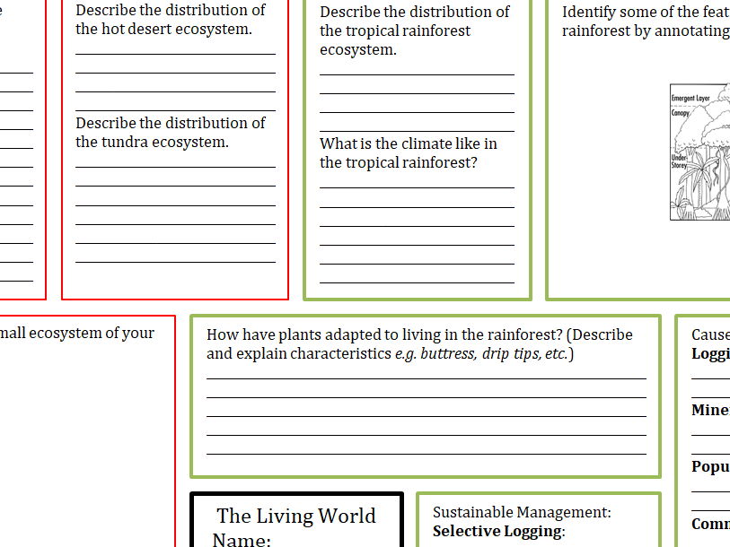 AQA Geography Tropical rainforest Revision-Cover A3 sheet