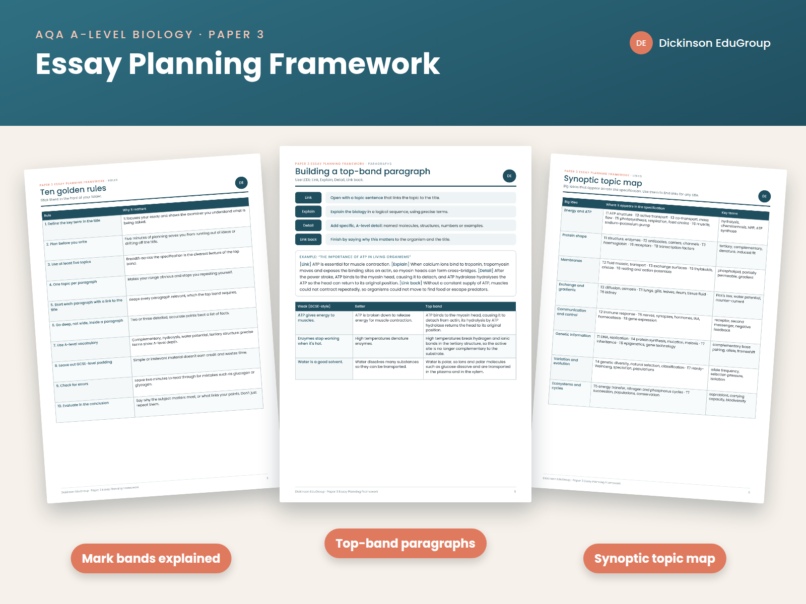 AQA Biology Paper 3 Essay Framework | Teaching Resources