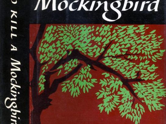 TO KILL A MOCKING BIRD   Designed for IGCSE practice