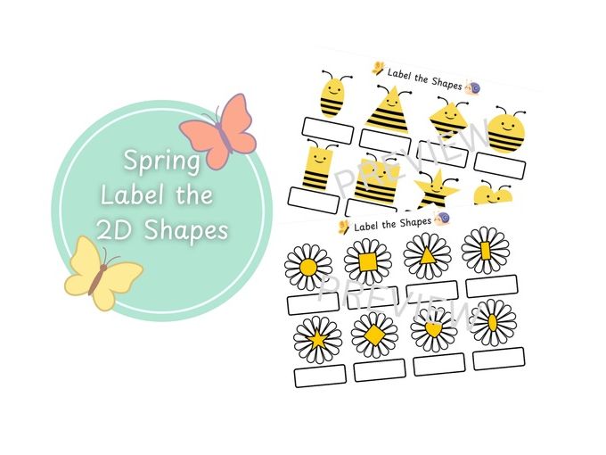 Spring Label the 2D Shapes