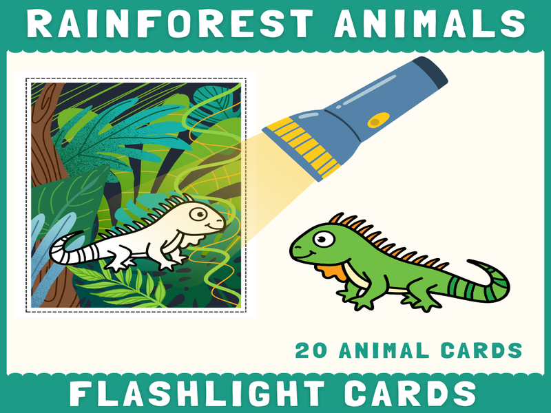 Rainforest Animals Flashlight Cards | Hidden Picture Reveal Science Activity