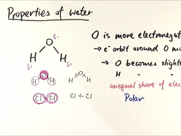 AS Level Biology - Water