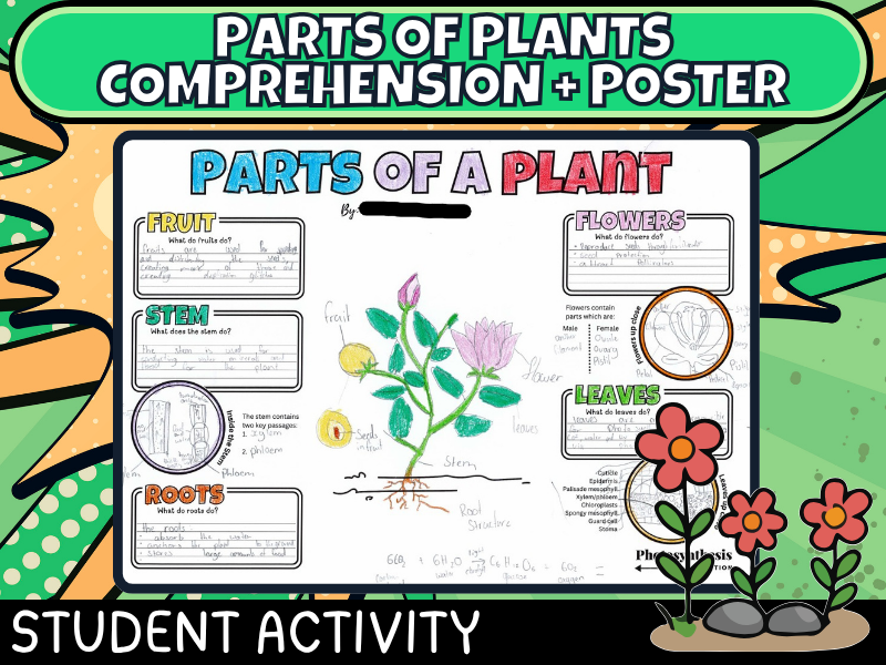 Plant Anatomy Structure Poster & Comprehension Passage: Science Biology