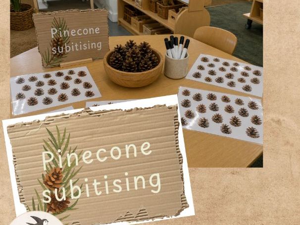 pinecone subitising mats for EYFS or Early Years