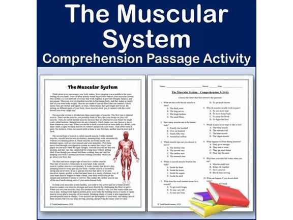 The Muscular System - Biology Reading Comp Passage & Activity | Editable